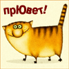 скачать Разные аватарки
