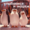 скачать Разные аватарки