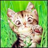 скачать Разные аватарки